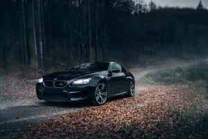 秋霧中，黑色BMW M6轎跑車行駛在鋪滿落葉的森林道路上。 — Surface Laptop 壁紙