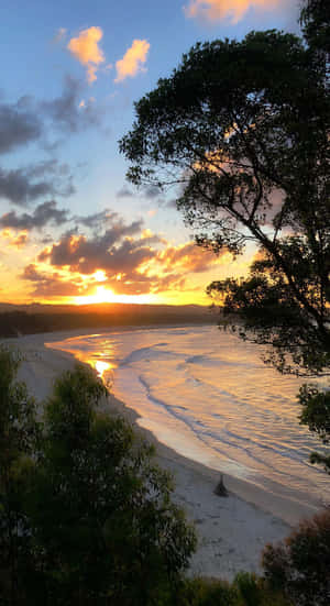 夕陽下的海灘，海浪和樹木在金色天空下形成剪影。 — 海灘日落 壁紙