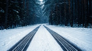 積雪的森林道路，有輪胎痕跡和飄落的雪花