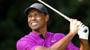 Tiger Woods 穿著紫色襯衫在戶外揮動高爾夫球桿 — 樹林 壁紙