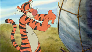 Tigger 在草地上包裹物體旁邊開心地伸展身體。 — 跳跳虎 壁紙