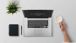 Hand holding coffee cup beside laptop notebook and plant on clean desk. — 極簡美學桌面 壁紙