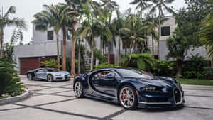 兩輛Bugatti超跑停泊在瓷磚車道上，背景有棕櫚樹和現代房屋。 — 布加迪 GIF 壁紙