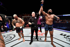 UFC拳手在八角籠內由裁判舉起他的手贏得比賽。 — 終極格鬥冠軍賽 壁紙