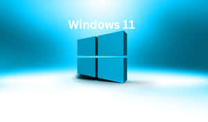 Windows 11背景