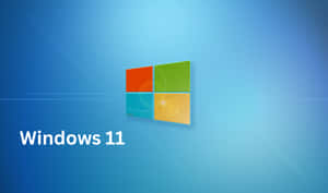 Windows 11 背景