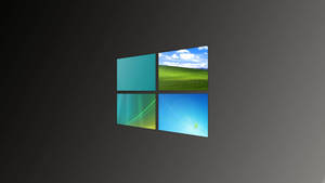 Windows 標誌，四個面板顯示綠色田野、藍色天空、抽象漸變。 — 暗黑美學電腦 壁紙