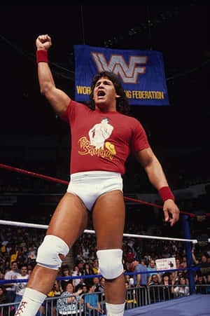 Wrestler The Samoan Savage 在WWF摔角擂台上慶祝勝利。 — 摔角 壁紙