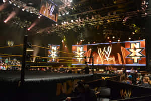 WWE NXT 摔角擂台，有粉絲和明亮的舞台燈光。 — 摔角 壁紙