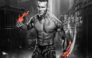 Wwe 背景 — WWE GIF 壁紙
