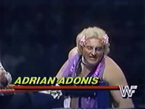 WWE比賽中，身穿紫色服裝、頭髮上戴著粉紅色花朵的摔角手Adrian Adonis。 — 摔角 壁紙
