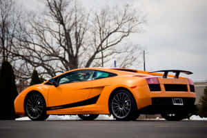 橙色藍寶堅尼 Gallardo Superleggera 在戶外停放，周圍有積雪和光禿禿的樹木。 — Surface Pro 壁紙