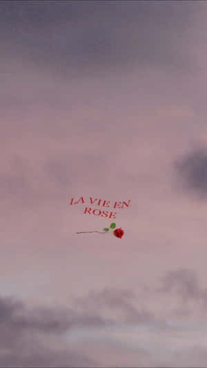 一朵帶綠葉和文字 la vie en rose 的紅玫瑰在粉紅和灰色的天空中飄浮。 — 夜晚 壁紙