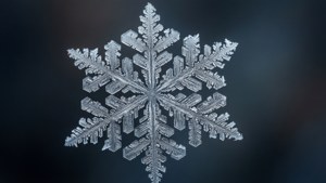 在深色背景上具有複雜晶體結構的詳細雪花