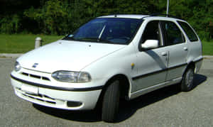 白色Fiat Stilo旅行車停在柏油路上，靠近綠化帶。 — 飛雅特 壁紙