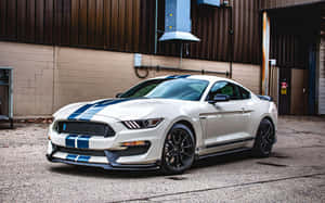 白色福特野馬Shelby GT350R帶有藍色賽車條紋，停在倉庫前。 — Steam Deck 壁紙