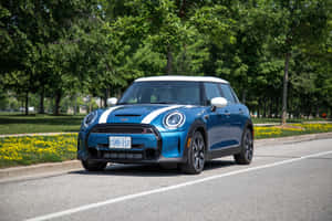藍色MINI Cooper白色車頂，行駛在陽光普照、兩旁種滿樹木和黃色花朵的道路上。 — MacBook Air 壁紙