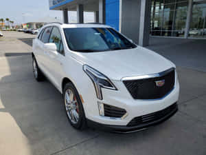 白色Cadillac XT5 SUV停放在經銷商處，背景有棕櫚樹。 — 凱迪拉克 壁紙