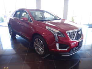 紅色Cadillac XT5 SUV在明亮的展廳中展示，地板反光。 — 凱迪拉克 壁紙