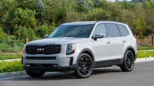 白色Kia Telluride SUV停在路上，背景有綠色樹木。 — 起亞 壁紙