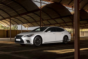 白色Lexus轎車停放在金屬屋頂下，夕陽的光線投下長長的影子。 — Surface 壁紙