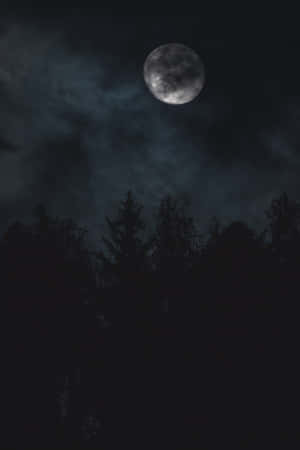 滿月穿過雲層，照耀在夜晚黑暗森林的樹木之上。 — 暮光 壁紙