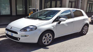 白色Fiat Punto停放在陽光普照的市區街道上，靠近一棟現代建築。 — 飛雅特 壁紙