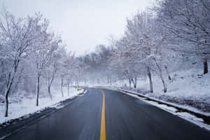 白雪覆蓋的道路蜿蜒穿過冬季森林，樹木光禿禿的。 — 冬季風景 壁紙