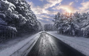 日出時分，白雪覆蓋的道路蜿蜒穿過冬季森林。 — 冬季風景 壁紙