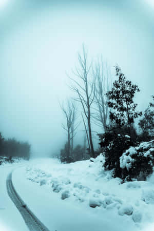 積雪覆蓋的道路蜿蜒穿過霧氣瀰漫的冬季森林，有光禿禿和常綠的樹木。 — 2:3 壁紙