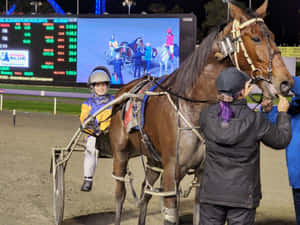 馬車賽車手和馬匹在夜間賽道上的記分板 — 賽馬 壁紙