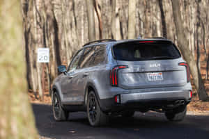 銀色Kia Telluride SUV在光禿樹木的林間道路上行駛。 — Surface Pro 壁紙