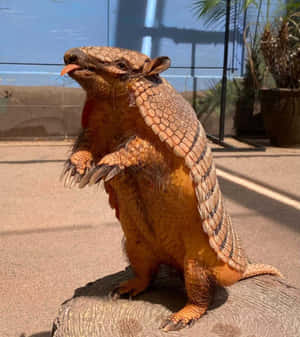 巨型犰狳在白天動物園圍欄中用後腿站立。 — 小米 Mix Flip 2 壁紙