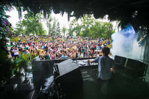 DJ在熱鬧的戶外音樂節表演，伴隨著跳舞的人群和綠植。 — MacBook Pro 壁紙
