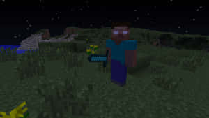 Minecraft角色在星空下夜晚草地上手持鑽石劍