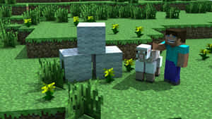 Minecraft玩家與羊在石塊附近，在有黃色花朵的草地上。 — 羊 壁紙