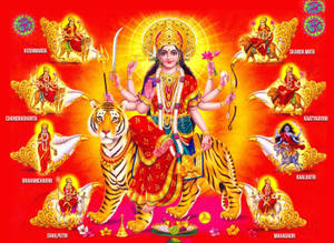 印度教女神杜爾迦多臂騎虎，被八位其他女神環繞。 — Maa Durga 壁紙