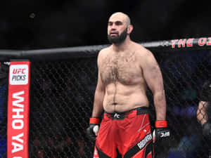 穿著紅色短褲的UFC拳手站在八角籠內。 — 極限運動 壁紙