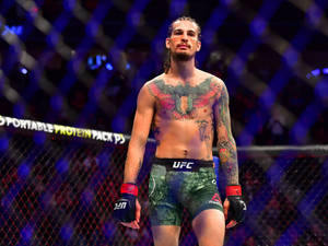 一位身穿UFC裝備的刺青MMA選手站在八角籠中，在場館燈光下。 — 終極格鬥冠軍賽 壁紙