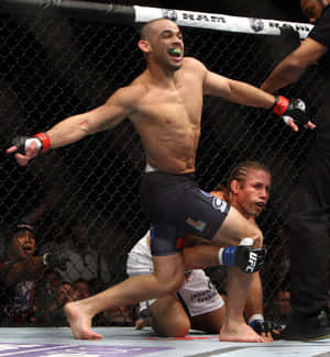 MMA拳手在擊敗對手後，在八角籠中慶祝勝利。 — 運動 壁紙