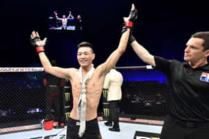 MMA拳手贏得比賽，裁判在八角籠中舉起他的手。 — 終極格鬥冠軍賽 壁紙