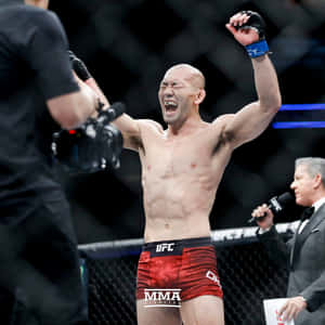 MMA拳手在八角籠內高舉雙臂慶祝勝利。 — 運動 壁紙