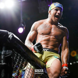 MMA拳手在場館燈光下於八角籠內慶祝勝利。 — 終極格鬥冠軍賽 壁紙