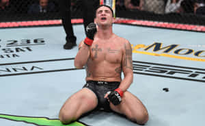 MMA拳手在八角籠中比賽後慶祝勝利。 — 運動 壁紙