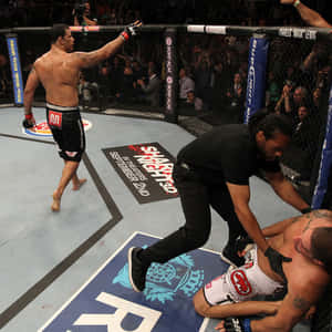 MMA拳手慶祝勝利，裁判在八角籠中檢查對手。 — 終極格鬥冠軍賽 壁紙