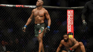 UFC拳手在八角籠中戰勝對手後站立。 — 桌面 壁紙