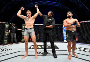 UFC拳手在八角籠中贏得比賽，裁判舉起他的手。 — 午夜 壁紙
