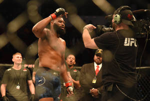 UFC拳手在八角籠內與攝製組慶祝勝利。 — 終極格鬥冠軍賽 壁紙