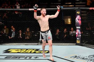 UFC拳手在八角籠內高舉雙臂慶祝勝利。 — 終極格鬥冠軍賽 壁紙