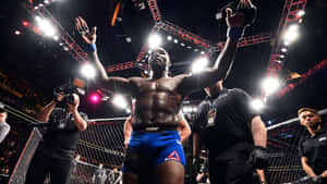 UFC拳手在八角籠內高舉雙臂慶祝勝利。 — 終極格鬥冠軍賽 壁紙